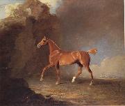 Benjamin Marshall A Golden Chestnut Racehorse by a Rock Formation With a Town Beyond oil